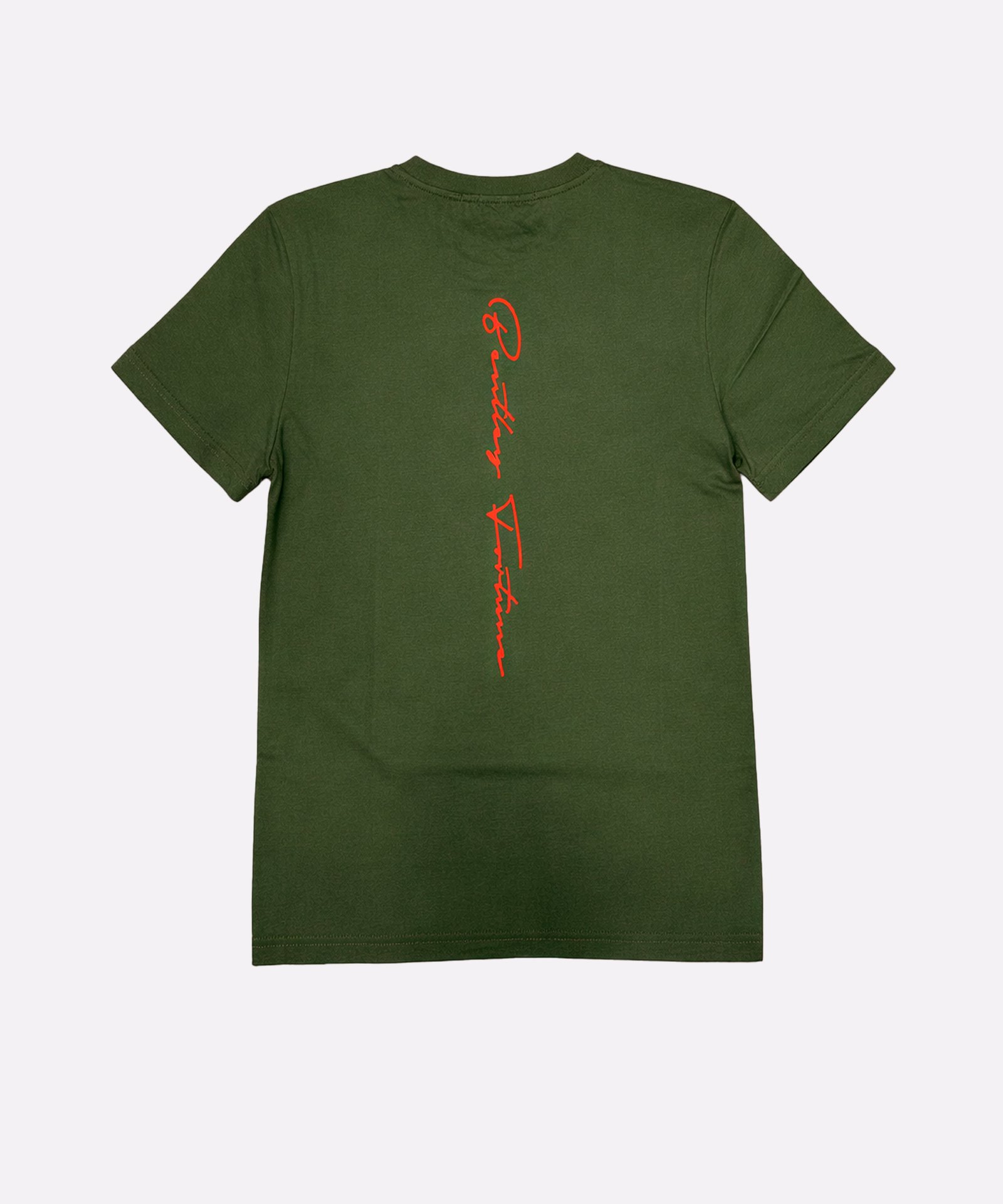 BF Evolution - Image 3